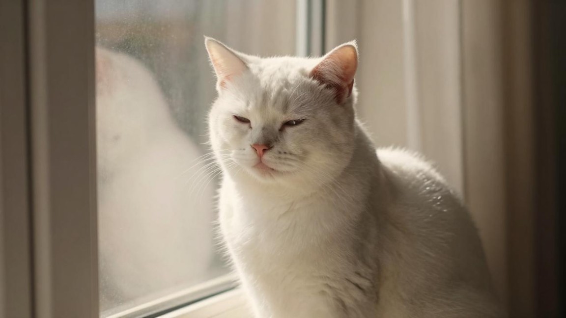 居民资产配置调整 不意味着流动性出现较大变化