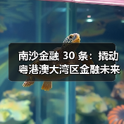 南沙金融 30 条:撬动粤港澳大湾区金融未来的 “超级引擎” 南沙金融 30 条:撬动粤港澳大湾区金融未来的 “超级引擎”