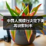 中国人民银行决定下调再贷款利率