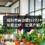 绵阳市商业银行2024年年报出炉:总资产超2500亿、业绩两位数增长、拨备大幅增厚(图4) 绵阳市商业银行2024年年报出炉:总资产超2500亿、业绩两位数增长、拨备大幅增厚(图4)