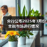 央行公布2025年3月份金融市场运行情况(图4) 央行公布2025年3月份金融市场运行情况(图4)