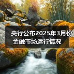 央行公布2025年3月份金融市场运行情况(图2) 央行公布2025年3月份金融市场运行情况(图2)