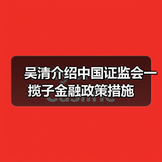 吴清介绍中国证监会一揽子金融政策措施(图2) 吴清介绍中国证监会一揽子金融政策措施(图2)