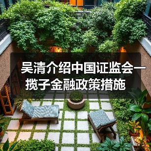 吴清介绍中国证监会一揽子金融政策措施(图4) 吴清介绍中国证监会一揽子金融政策措施(图4)