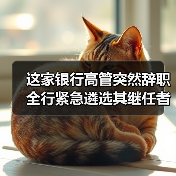 这家银行高管突然辞职 全行紧急遴选其继任者(图4) 这家银行高管突然辞职 全行紧急遴选其继任者(图4)