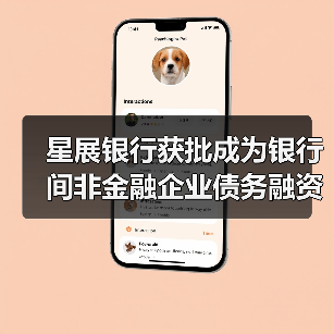 星展银行获批成为银行间非金融企业债务融资工具承销商（图3）