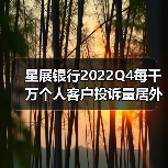 星展银行2022Q4每千万个人客户投诉量居外资行首位(图3) 星展银行2022Q4每千万个人客户投诉量居外资行首位(图3)