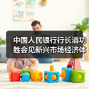 中国人民银行行长潘功胜会见新兴市场经济体央行主要负责人（图3）