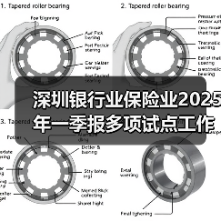 深圳银行业保险业2025年一季报多项试点工作加速落地(图1) 深圳银行业保险业2025年一季报多项试点工作加速落地(图1)