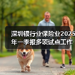 深圳银行业保险业2025年一季报多项试点工作加速落地(图2) 深圳银行业保险业2025年一季报多项试点工作加速落地(图2)
