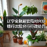 辽宁金融监管局对兴业银行沈阳分行行政处罚信息(图4) 辽宁金融监管局对兴业银行沈阳分行行政处罚信息(图4)