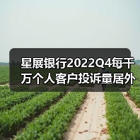 星展银行2022Q4每千万个人客户投诉量居外资行首位(图4) 星展银行2022Q4每千万个人客户投诉量居外资行首位(图4)