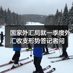 国家外汇局就一季度外汇收支形势答记者问(图4) 国家外汇局就一季度外汇收支形势答记者问(图4)