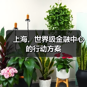 上海,世界级金融中心的行动方案(图1) 上海,世界级金融中心的行动方案(图1)