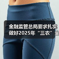 金融监管总局要求扎实做好2025年“三农”金融工作（图4）