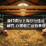 渣打银行上海分行违法被罚 办理收汇业务未尽职审查(图3) 渣打银行上海分行违法被罚 办理收汇业务未尽职审查(图3)