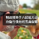 财政部关于六起地方政府隐性债务问责典型案例的通报(图4) 财政部关于六起地方政府隐性债务问责典型案例的通报(图4)