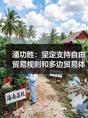潘功胜：坚定支持自由贸易规则和多边贸易体制（图4）