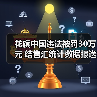 花旗中国违法被罚30万元 结售汇统计数据报送错误（图4）