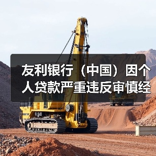 友利银行(中国)因个人贷款严重违反审慎经营规则等被罚90万(图4) 友利银行(中国)因个人贷款严重违反审慎经营规则等被罚90万(图4)