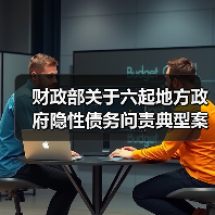 财政部关于六起地方政府隐性债务问责典型案例的通报(图2) 财政部关于六起地方政府隐性债务问责典型案例的通报(图2)