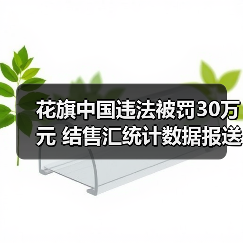 花旗中国违法被罚30万元 结售汇统计数据报送错误（图2）