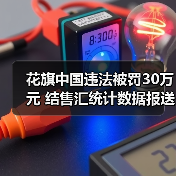 花旗中国违法被罚30万元 结售汇统计数据报送错误（图4）