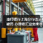 渣打银行上海分行违法被罚 办理收汇业务未尽职审查(图2) 渣打银行上海分行违法被罚 办理收汇业务未尽职审查(图2)