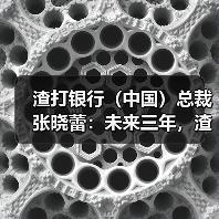 渣打银行（中国）总裁张晓蕾：未来三年，渣打集团将投资3亿美元到中国相关业务（图1）