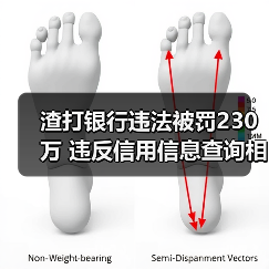 渣打银行违法被罚230万 违反信用信息查询相关规定(图3) 渣打银行违法被罚230万 违反信用信息查询相关规定(图3)