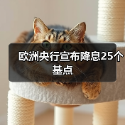 欧洲央行宣布降息25个基点（图4）