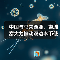 中国与马来西亚、柬埔寨大力推动双边本币使用（图3）