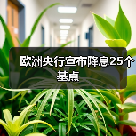 欧洲央行宣布降息25个基点（图1）
