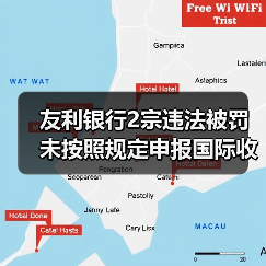 友利银行2宗违法被罚 未按照规定申报国际收支统计等（图4）