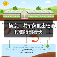 杨京、洪军获批出任渣打银行副行长（图1）