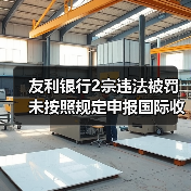 友利银行2宗违法被罚 未按照规定申报国际收支统计等（图2）