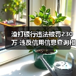 渣打银行违法被罚230万 违反信用信息查询相关规定（图4）