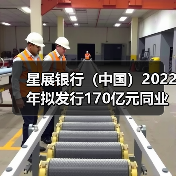 星展银行(中国)2022年拟发行170亿元同业存单 报备额度较上年大幅减少(图4) 星展银行(中国)2022年拟发行170亿元同业存单 报备额度较上年大幅减少(图4)