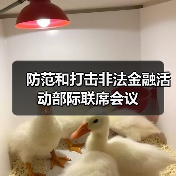 防范和打击非法金融活动部际联席会议(图1) 防范和打击非法金融活动部际联席会议(图1)