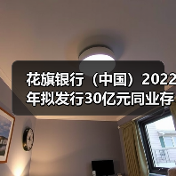 花旗银行(中国)2022年拟发行30亿元同业存单 备案额度减半(图4) 花旗银行(中国)2022年拟发行30亿元同业存单 备案额度减半(图4)