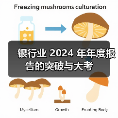 银行业 2024 年年度报告的突破与大考(图1) 银行业 2024 年年度报告的突破与大考(图1)