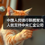 中国人民银行新闻发言人就支持中央汇金公司稳定资本市场答记者问（图2）