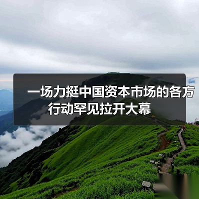 一场力挺中国资本市场的各方行动罕见拉开大幕（图3）