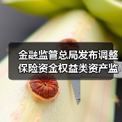 金融监管总局发布调整保险资金权益类资产监管比例(图3) 金融监管总局发布调整保险资金权益类资产监管比例(图3)