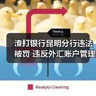 渣打银行昆明分行违法被罚 违反外汇账户管理规定(图2) 渣打银行昆明分行违法被罚 违反外汇账户管理规定(图2)