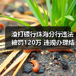 渣打银行珠海分行违法被罚120万 违规办理结售汇等（图4）
