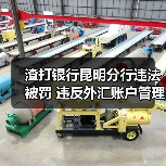 渣打银行昆明分行违法被罚 违反外汇账户管理规定(图4) 渣打银行昆明分行违法被罚 违反外汇账户管理规定(图4)