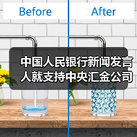 中国人民银行新闻发言人就支持中央汇金公司稳定资本市场答记者问（图3）