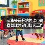 证监会召开境外上市备案管理跨部门协调工作机制全体会议（图4）