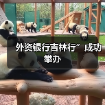 外资银行吉林行”成功举办（图2）